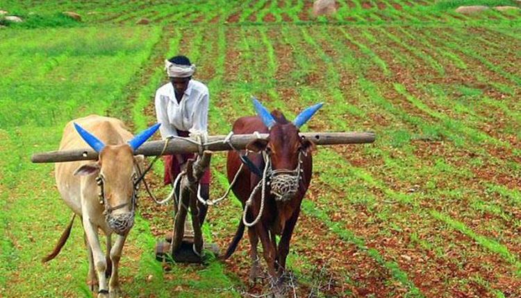 প্রধানমন্ত্রী কিষাণ যোজনা অনুসারে এই সপ্তাহের মধ্যে ১ কোটির ওপর কৃষকেরা ২০০০ টাকা করে পাবে