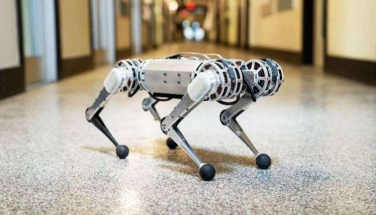 Mini-Cheetah