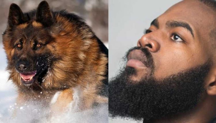 Dog's_fur_and_man's_beard_exam