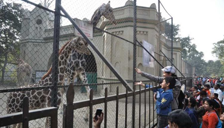 Alipore zoological garden