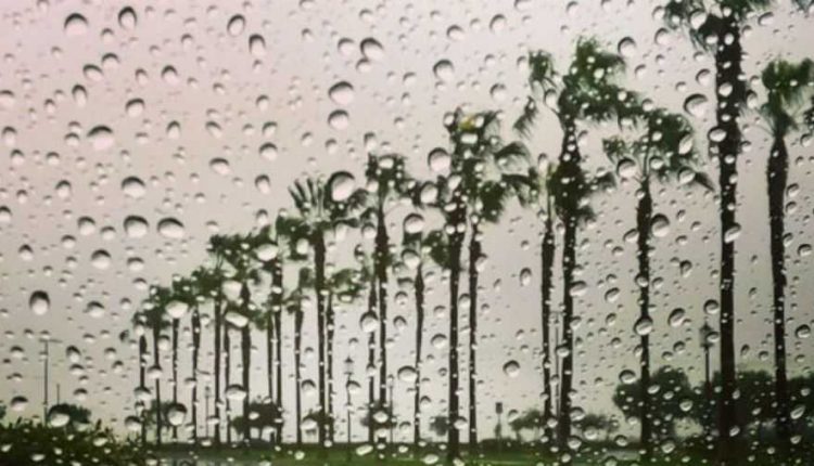 rain