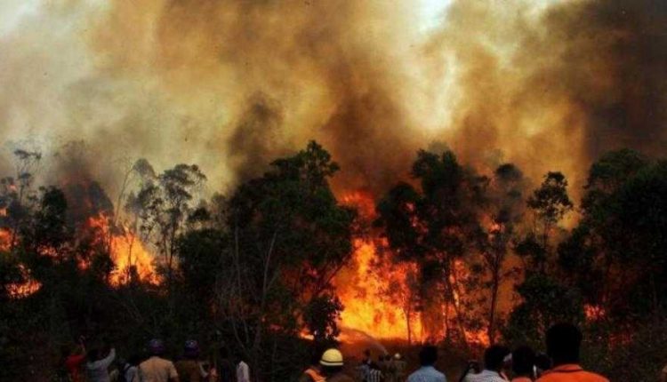 uttarakhand fire