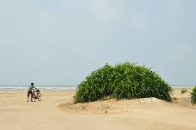 সাপ্তাহিক ছুটিতে তাজপুর (Tajpur Beach) - Tourist Places In West Bengal 1 Tourist Places In West Bengal