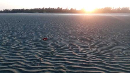 চলুন ঘুরে আসি হেনরি আইল্যান্ড (Henry Island Bakkhali – Picnic Spot Near Kolkata) চলুন ঘুরে আসি হেনরি আইল্যান্ড