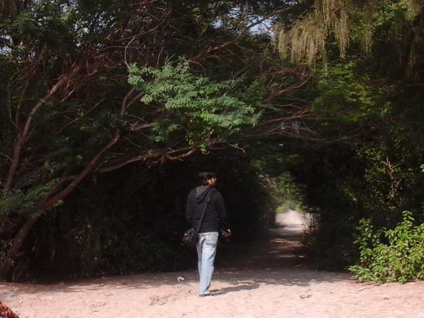 চলুন ঘুরে আসি হেনরি আইল্যান্ড (Henry Island Bakkhali - Picnic Spot Near Kolkata) 2 চলুন ঘুরে আসি হেনরি আইল্যান্ড (Henry Island Bakkhali - Picnic Spot Near Kolkata) 2