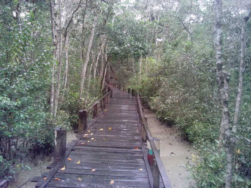 সুন্দরবন ভ্রমণবৃত্তান্ত (Sundarban Tour) - Sunderban Tourism 4 সুন্দরবন ভ্রমণবৃত্তান্ত (Sundarban Tour) - Sunderban Tourism 4