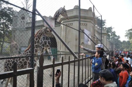 Alipore Zoo Kolkata (কলকাতার আলিপুর চিড়িয়াখানা) Alipore zoological garden