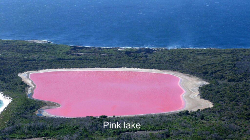 অস্ট্রেলিয়ার গোলাপী হ্রদ Pink lake hillier 1