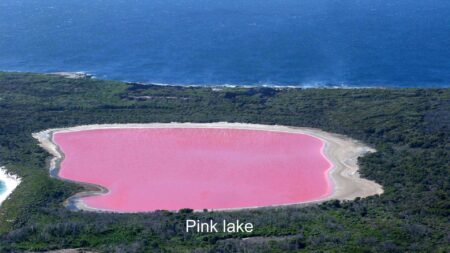 অস্ট্রেলিয়ার গোলাপী হ্রদ Pink lake hillier অস্ট্রেলিয়ার গোলাপী হ্রদ Pink lake hillier 1