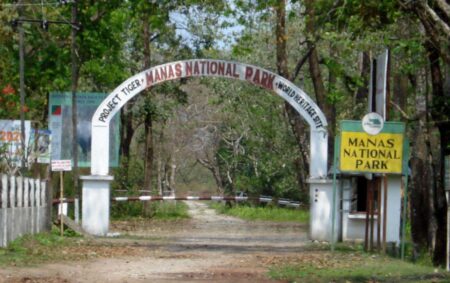 মানস জাতীয় উদ্যান Manas National Park মানস জাতীয় উদ্যান Manas National Park 1