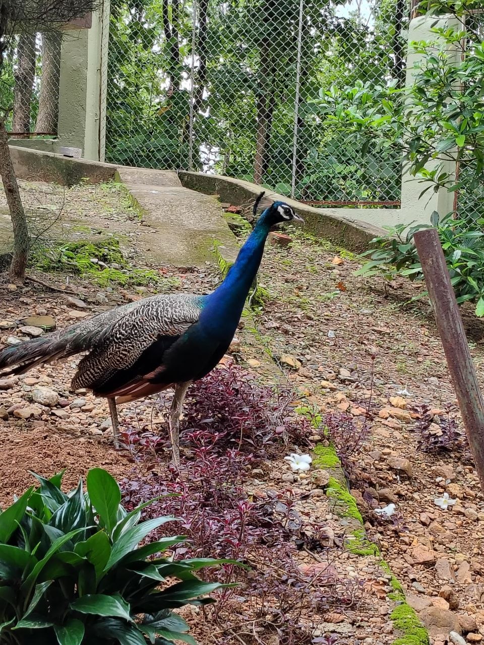 XCB TRAIL QUEST: ঝিলিমিলি-ঘাটশিলায় বর্ষার অফ-রোড রোমাঞ্চকর অভিযান 5 XCB TRAIL QUEST: ঝিলিমিলি-ঘাটশিলায় বর্ষার অফ-রোড রোমাঞ্চকর অভিযান 5