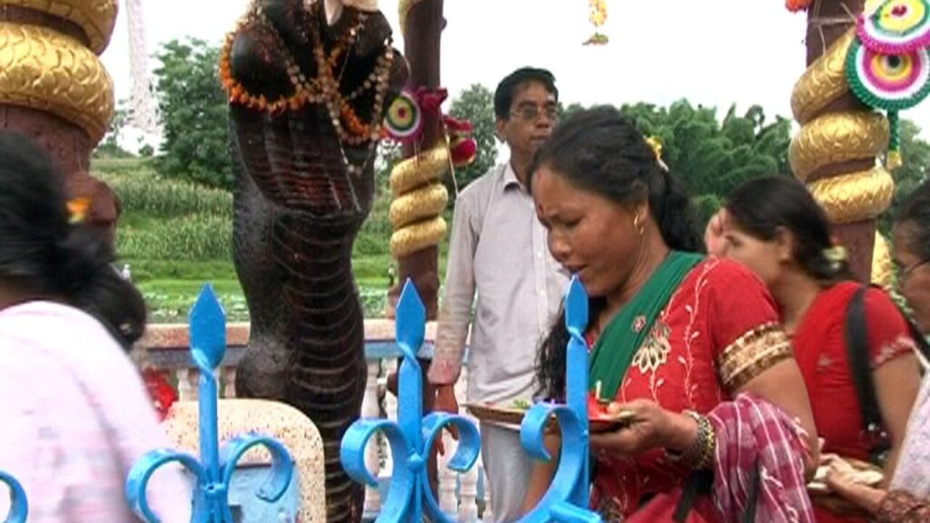 নাগপঞ্চমী ২০২৬: তারিখ, পূজার সময় ও গুরুত্ব নাগপঞ্চমী ২০২৬ - সাপের পূজা