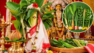 নবপত্রিকা কলাবউ কে? ৯টি গাছ, পুজোর নিয়ম ও ইতিহাস দুর্গাপুজোর সপ্তমীর সকালে কলকাতার জলাশয়ে নবপত্রিকা কলাবউ স্নান